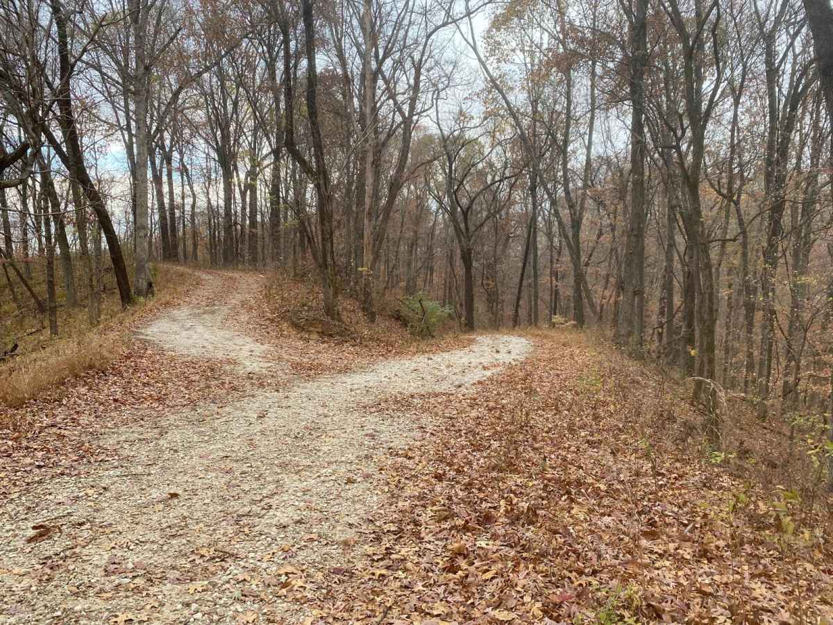 Turkey Trot FSR 627/643 trail photo