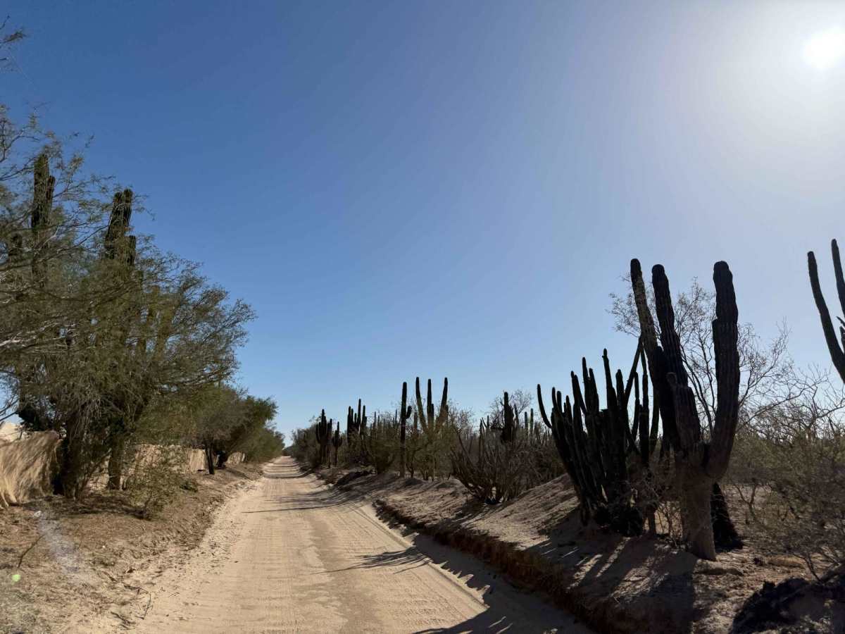 Camino Arenoso Cuatro photo 3