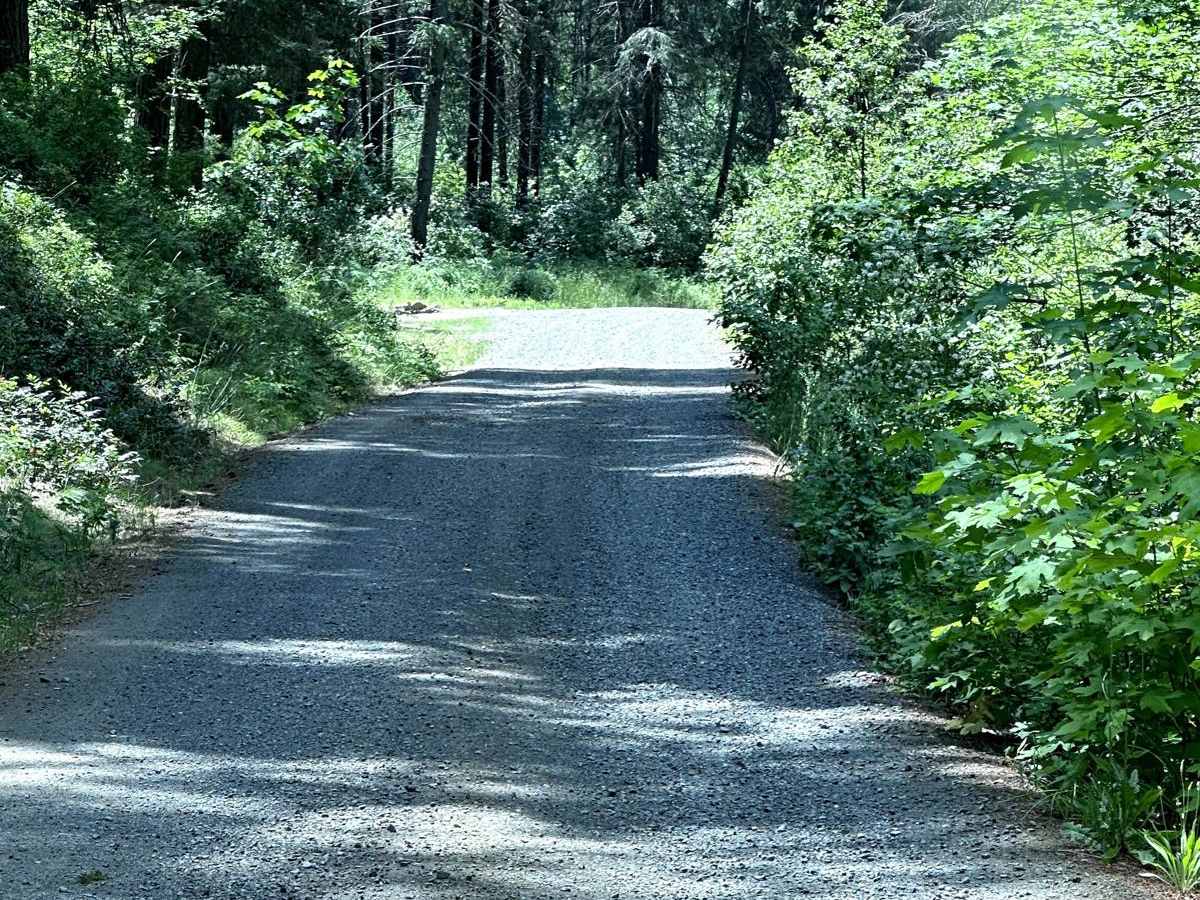Derby Canyon Road photo 6
