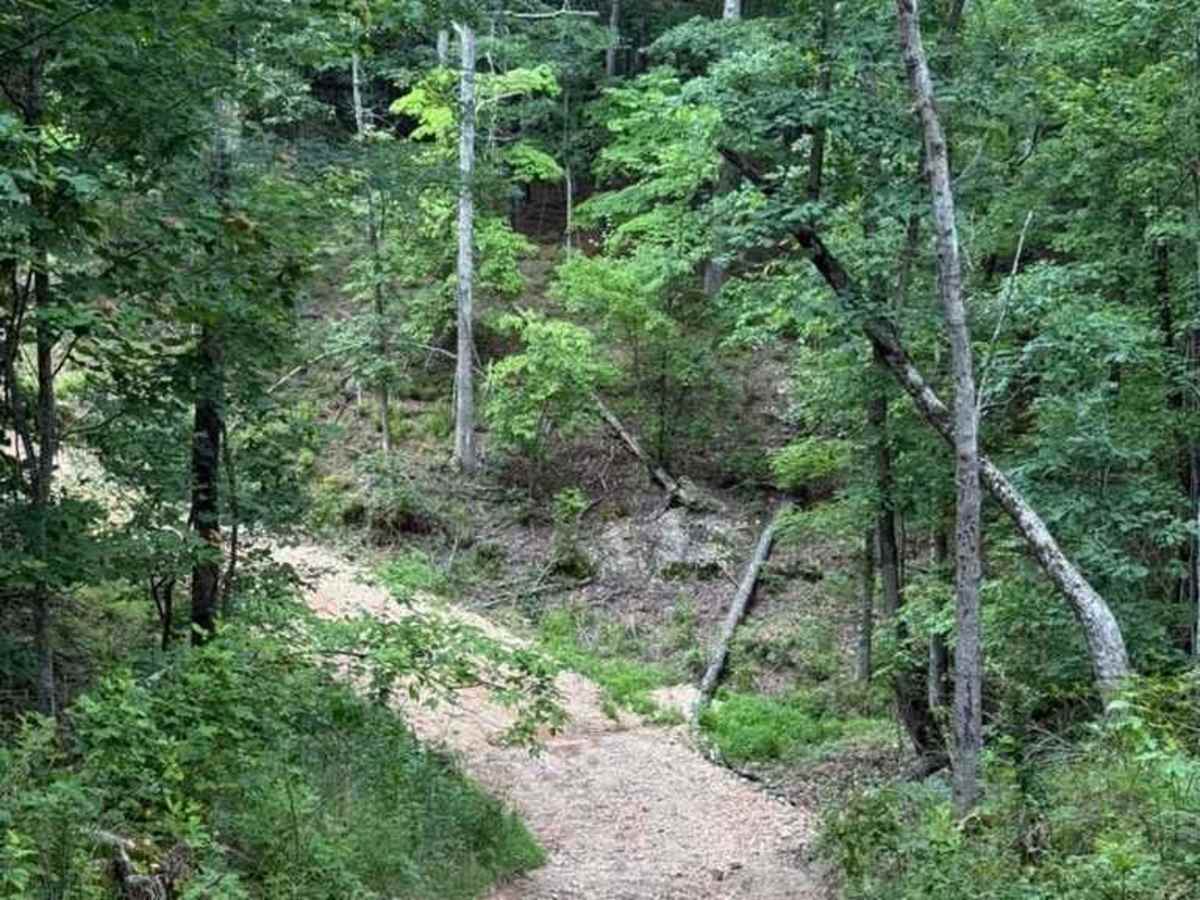 Sara's Trail photo 2