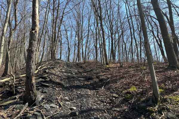 Ashland Single Track 1 - Part 2