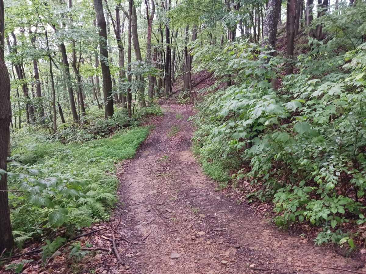 Trail 4G - Rock Run Recreation Area photo 6