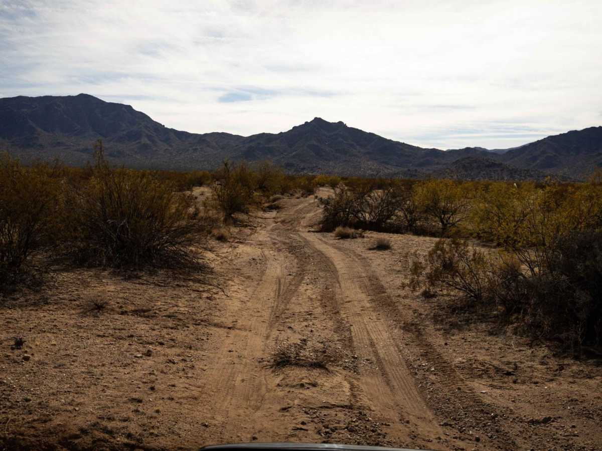Hidden Camp photo 4