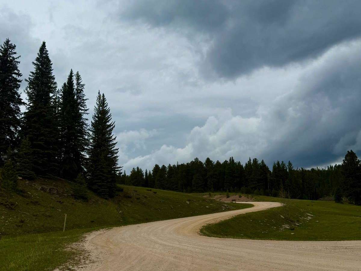 West DeerField - FS 110 trail photo