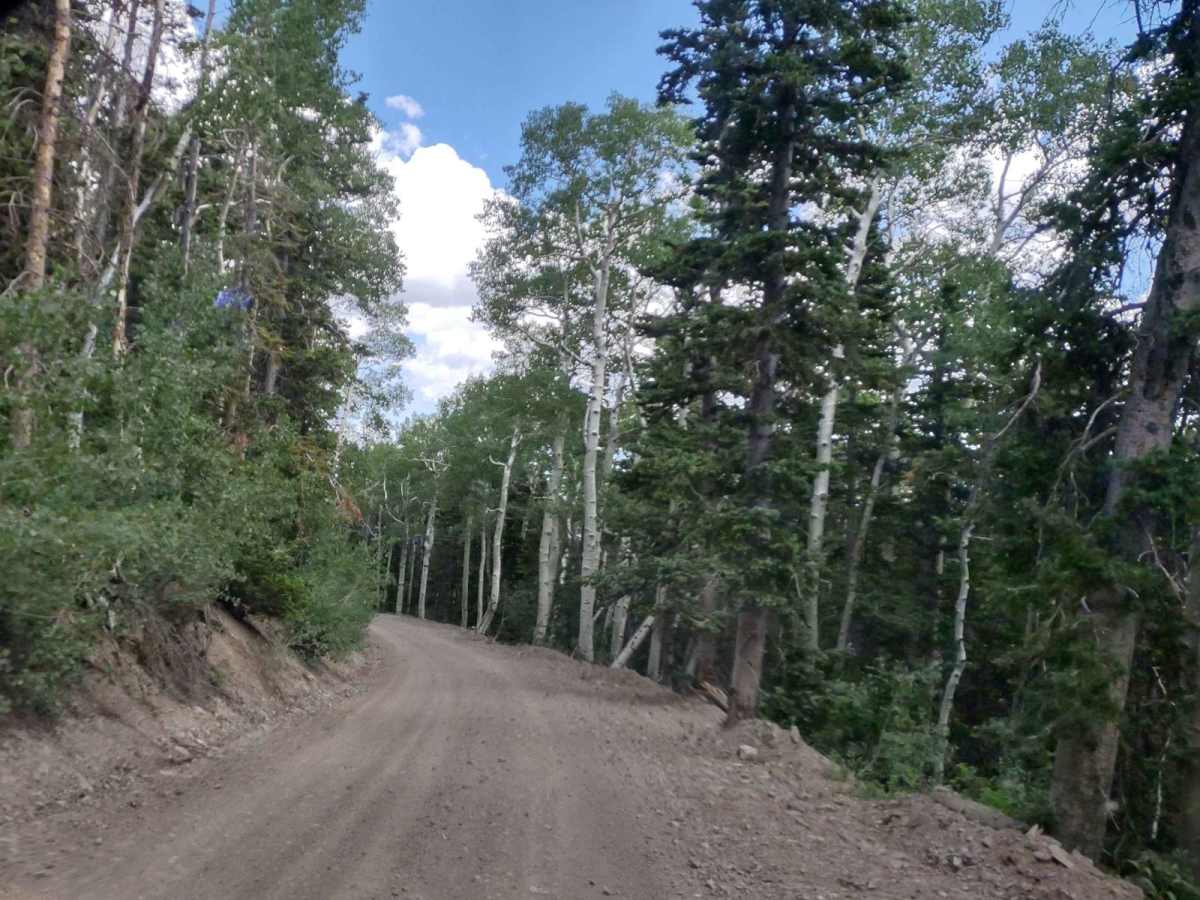 Revenue Gulch - Bullion/Wedge Road photo 2