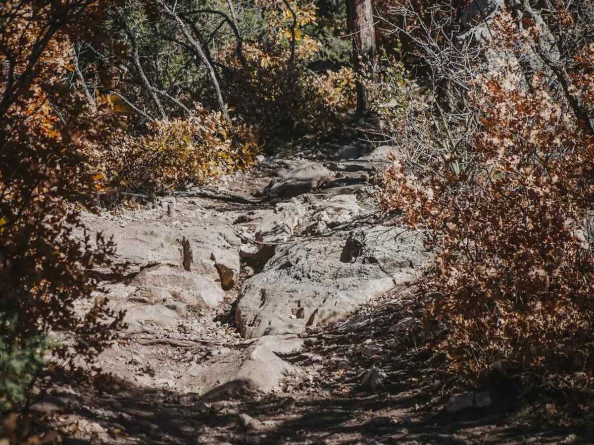 Deadman trail photo