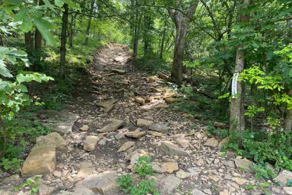Buckin Chute