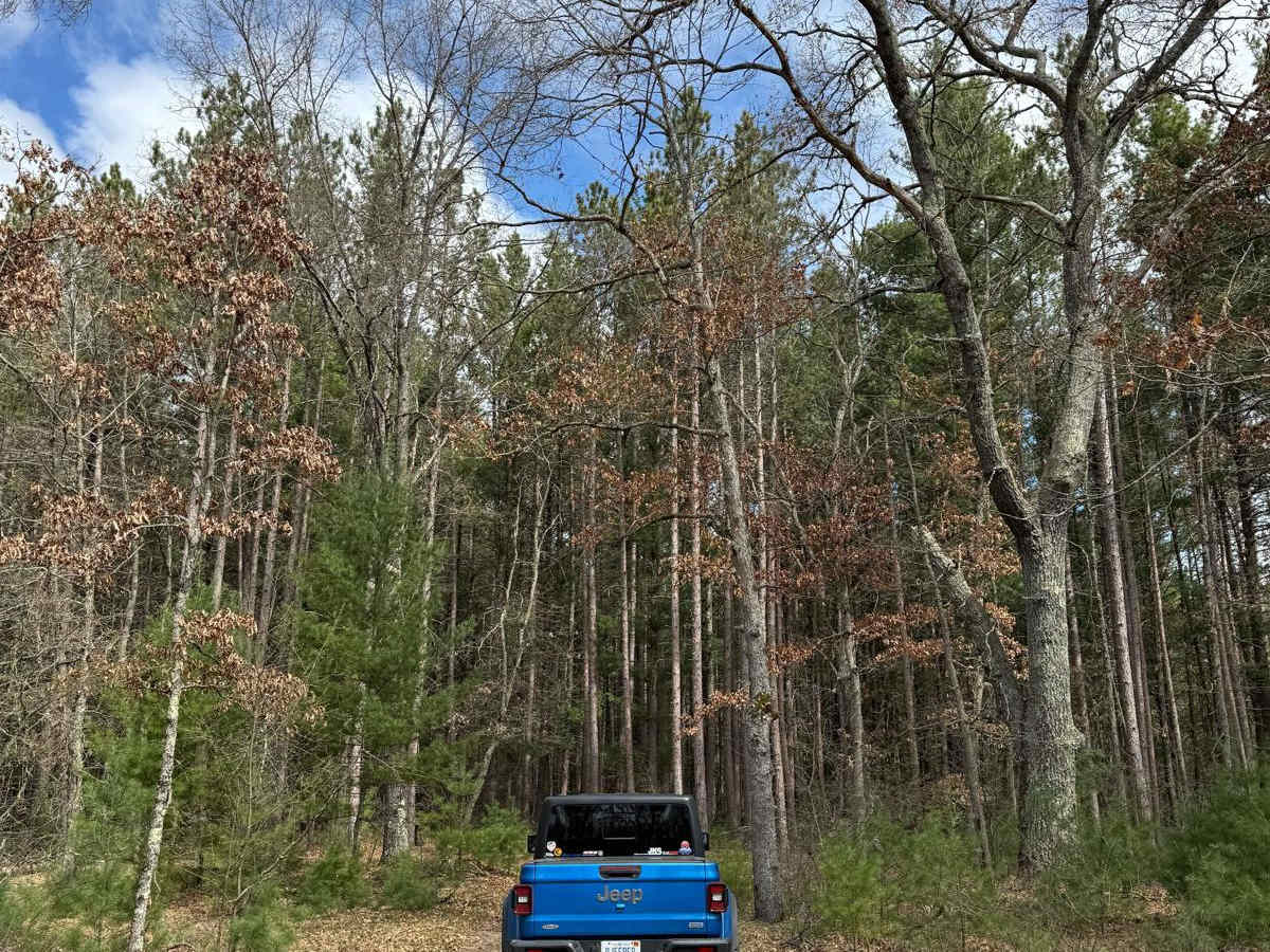 NFS 6040 photo 6