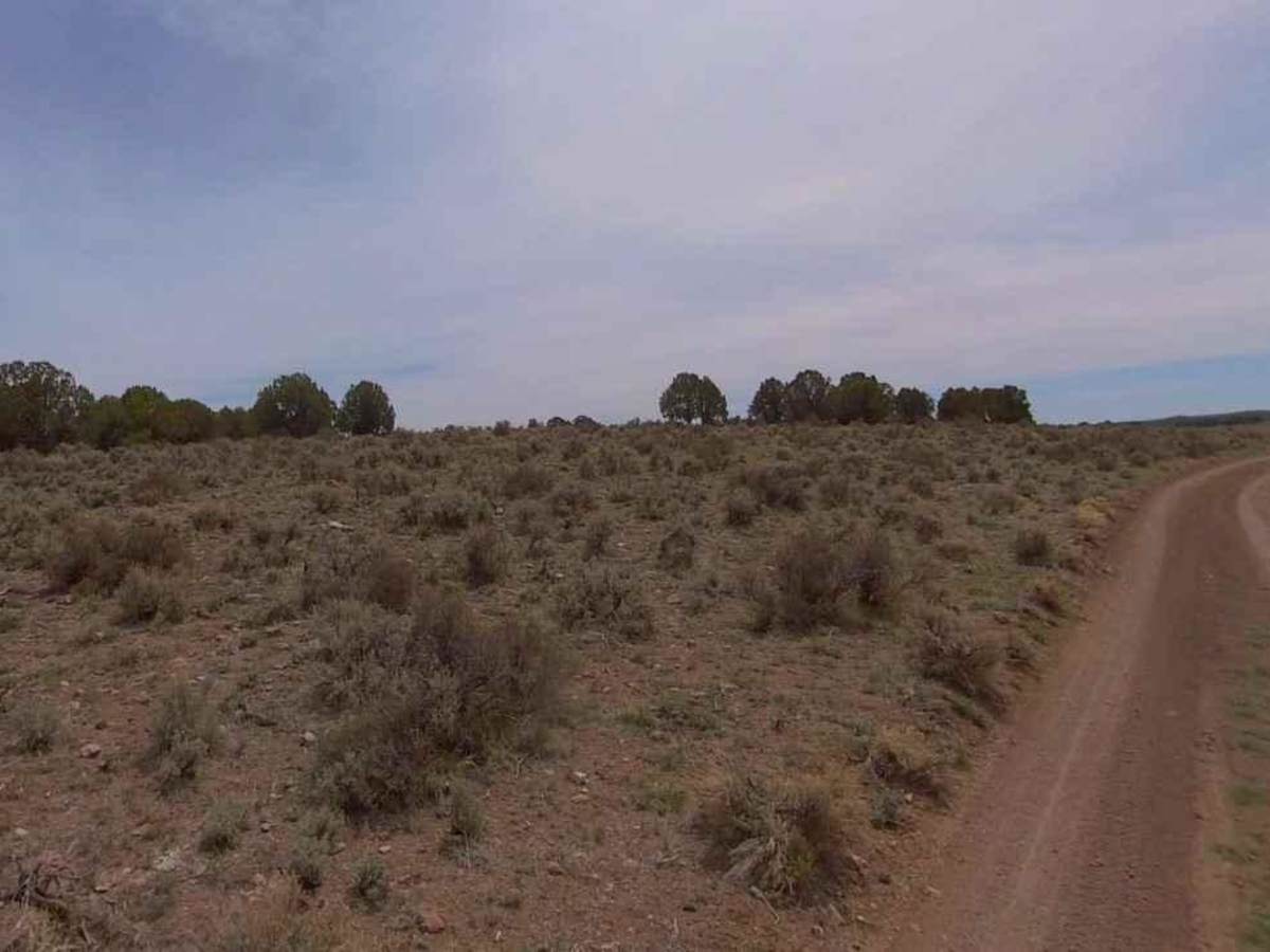 Dixie National Forest-FR31007 photo 4