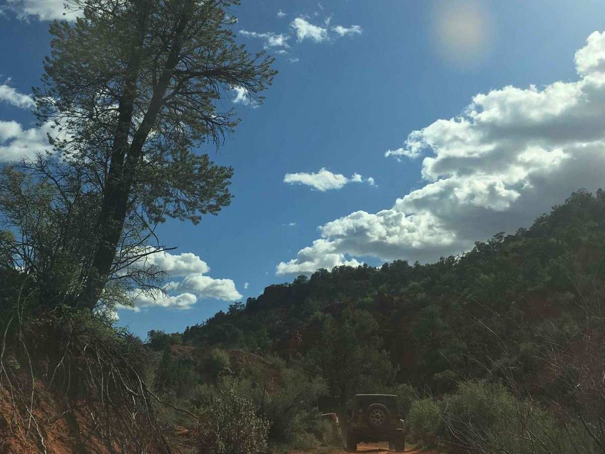 Glass Eye Spring-BLM 564-KC 3355 photo 5