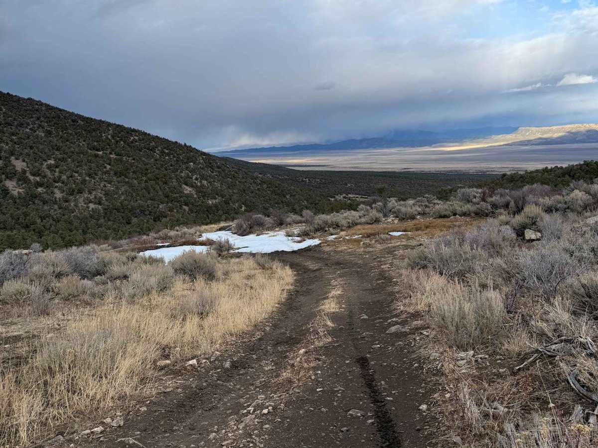 Patterson Pass Loop photo 4