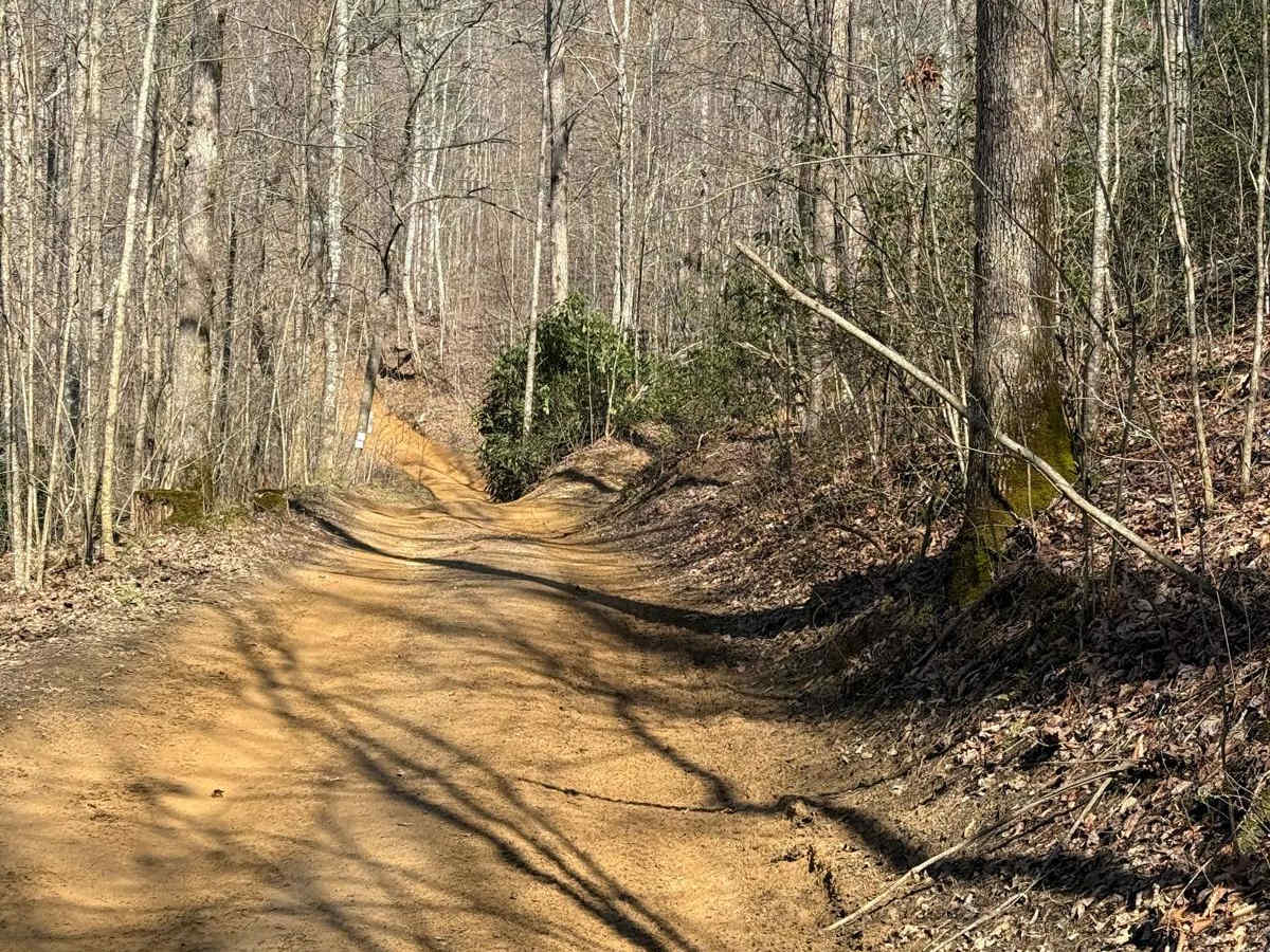 Trail 11 photo 5