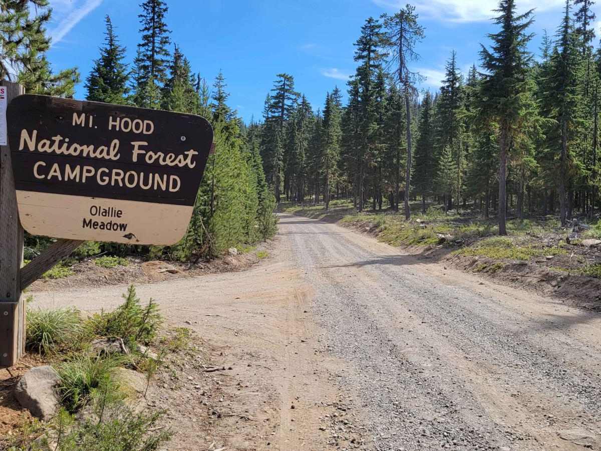 Skyline Road/Olallie Lake - FR 4220 photo 5