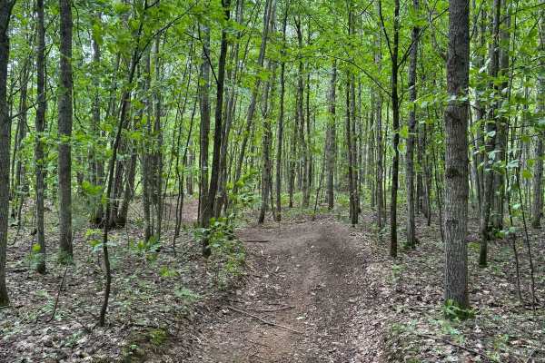 Kalkaska ORV Trail - South