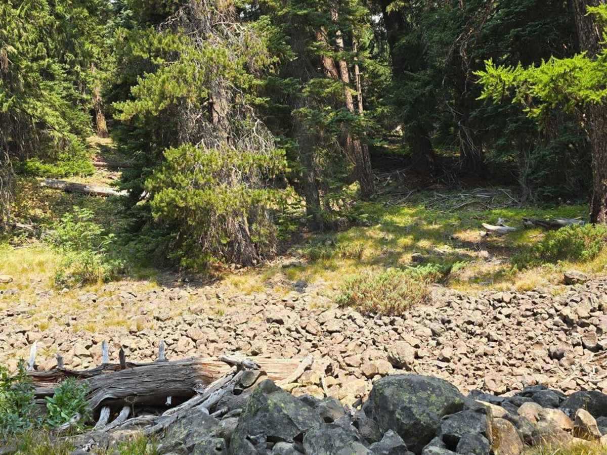 Lost Lake photo 2