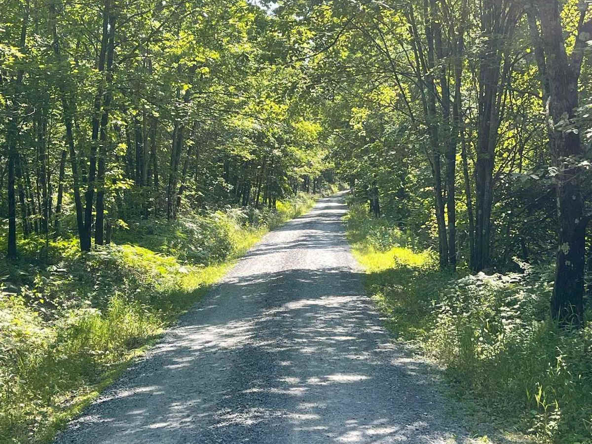 Browns Run Road photo 4