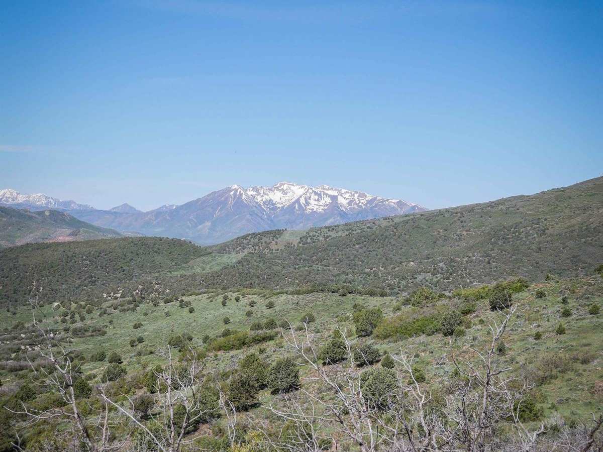 Sheep Creek Connector ATV Trail trail photo