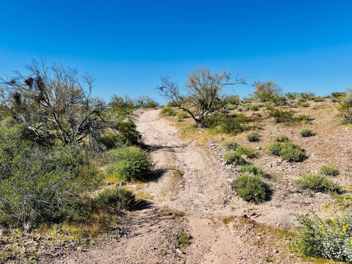 BLM 9088 photo 3