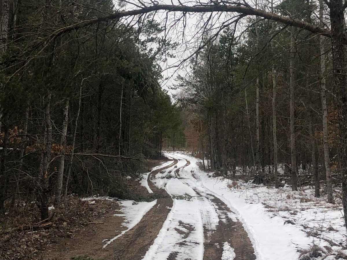 NFS Road 5236 photo 3