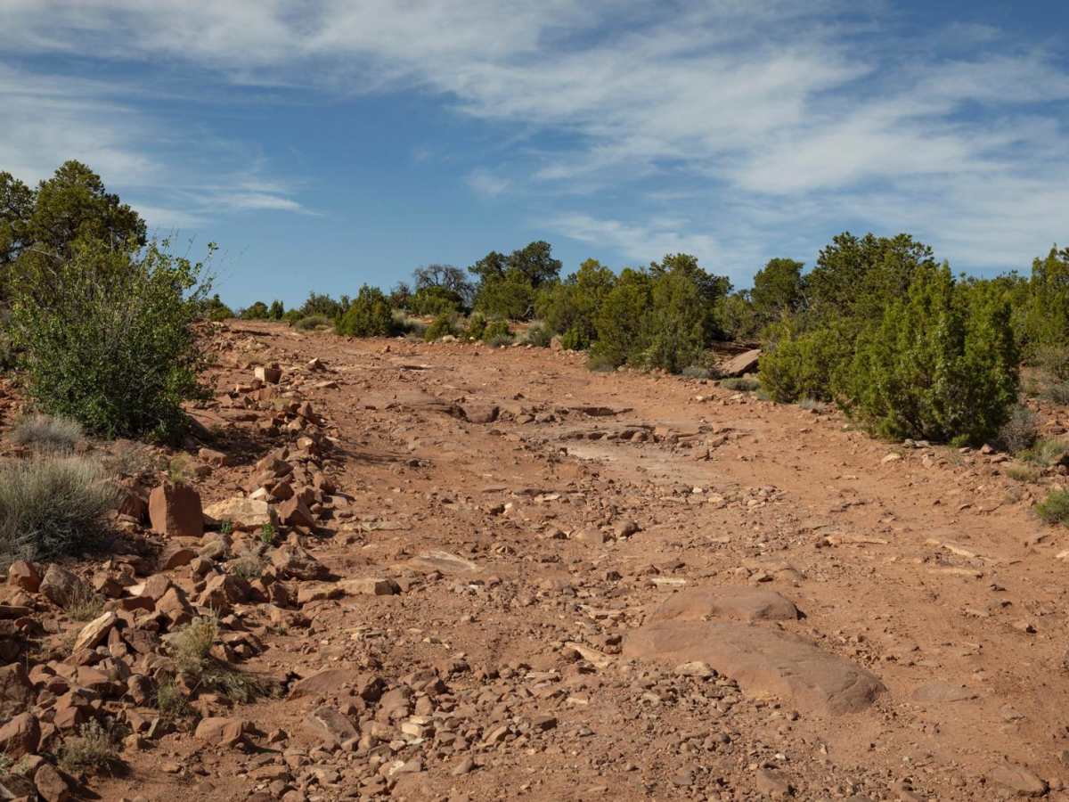 Canyonlands Overlook photo 3