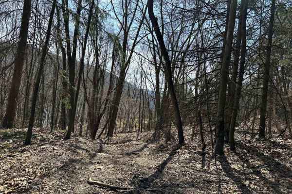 Ashland 105