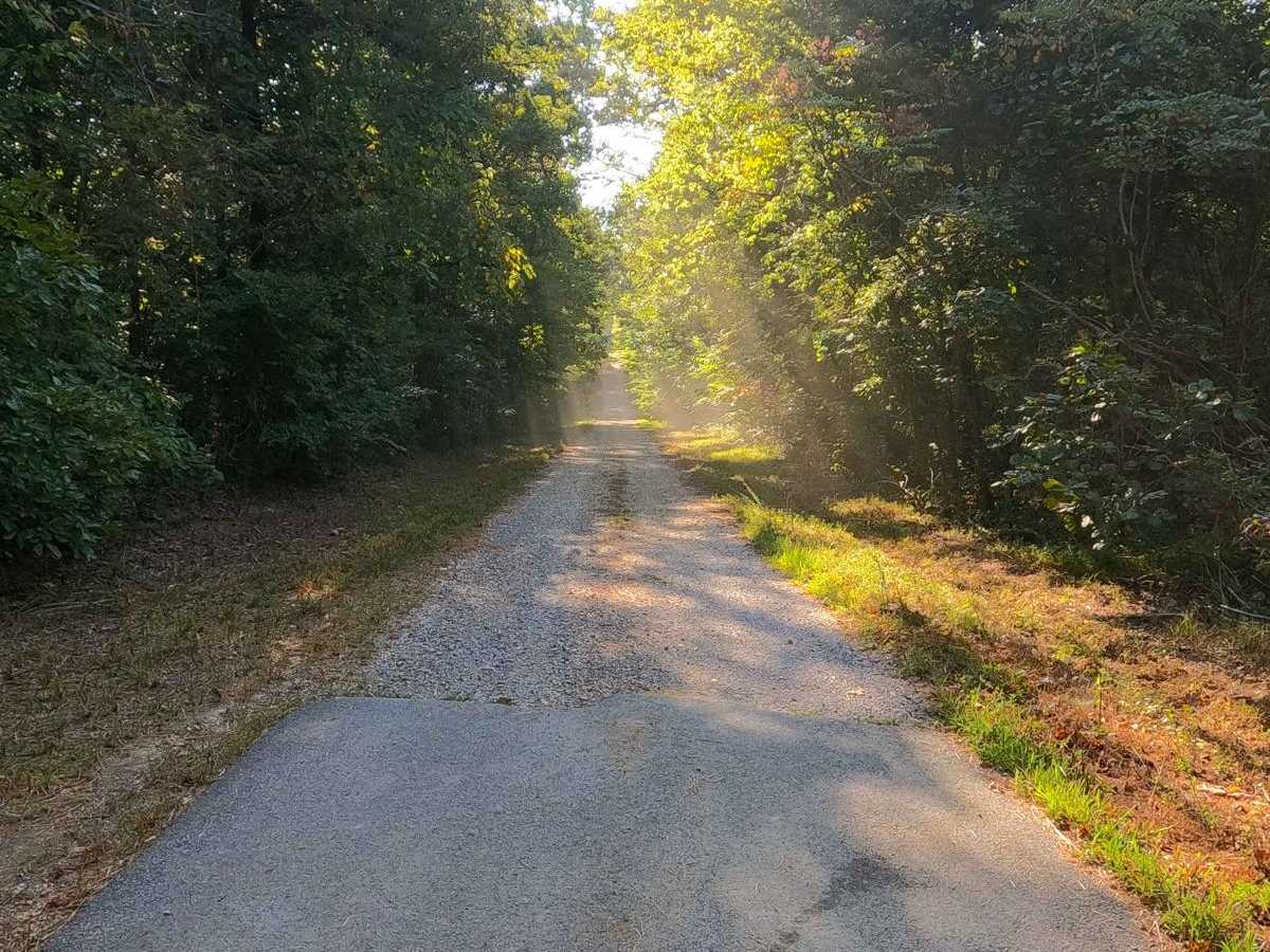 Woodson Chapel Road - FS 129 photo 2