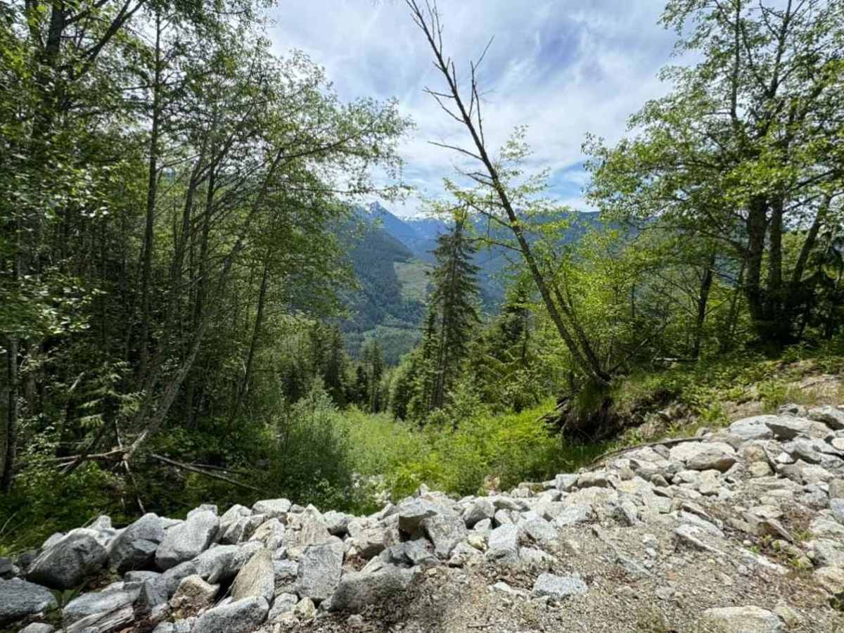Beckler Peak trail photo