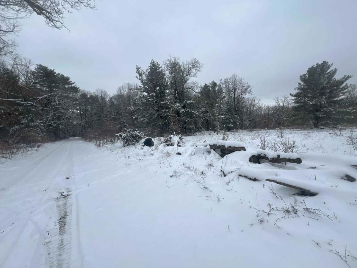 ASG Trail photo 4