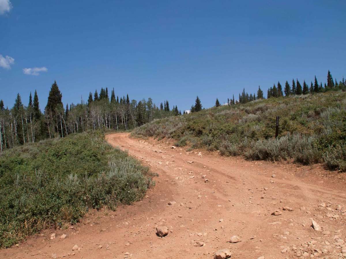 Red Spur photo 2