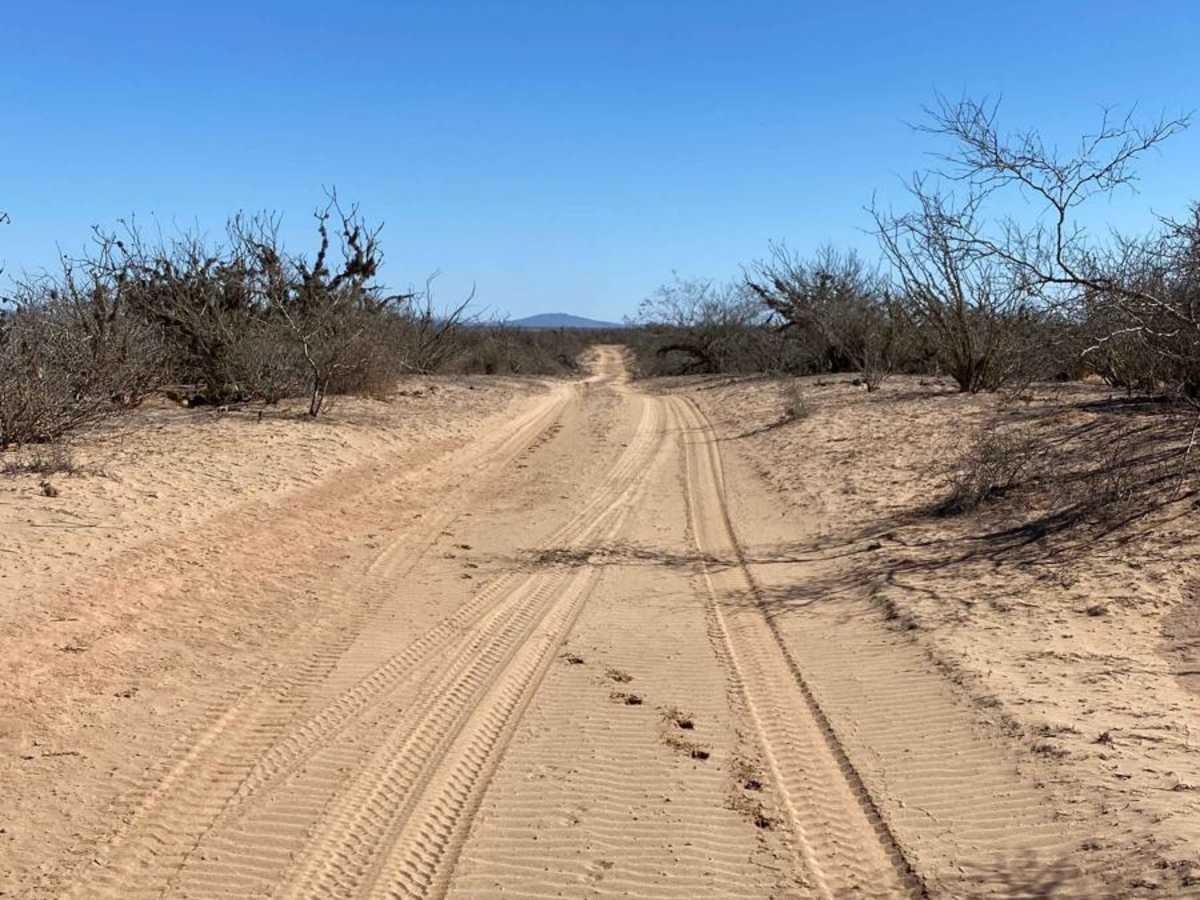 Agua Del Coyote photo 3