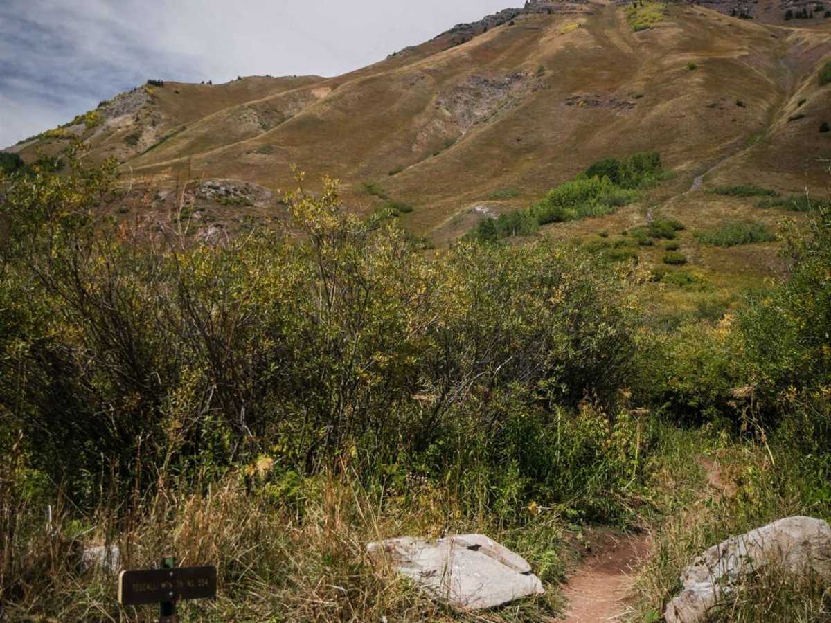 Teocalli Mountain photo 2
