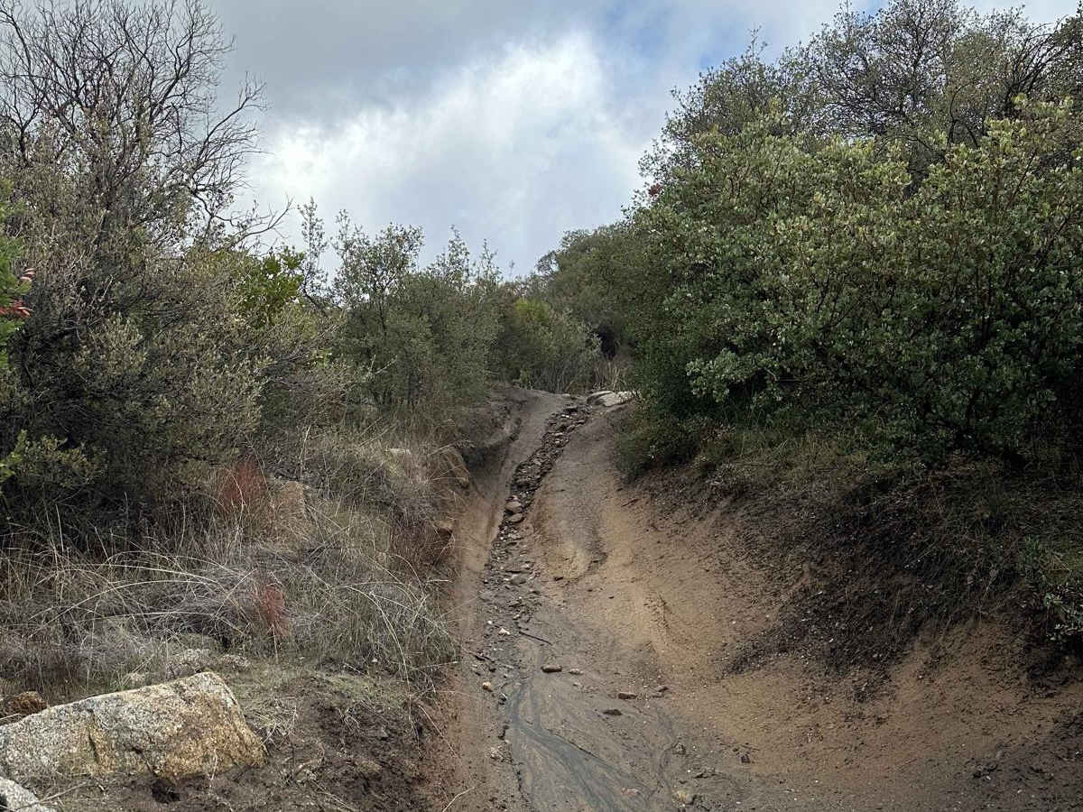 Wrangler Trail (901) photo 4