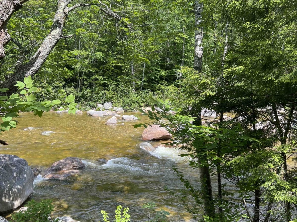 Wild River Road photo 6