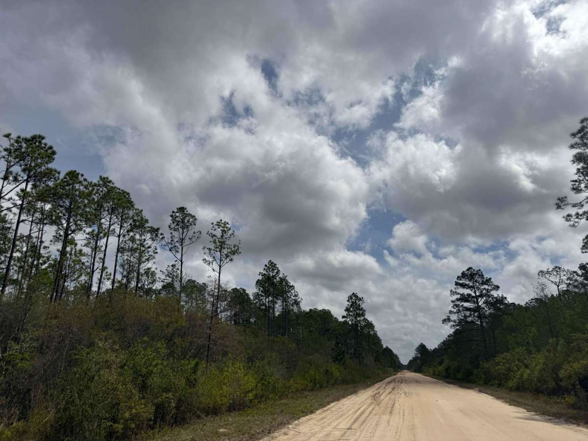 SFR 22 photo 2