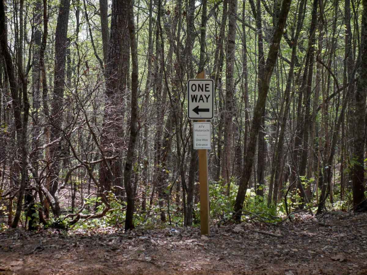 Sally Free Trail J photo 6