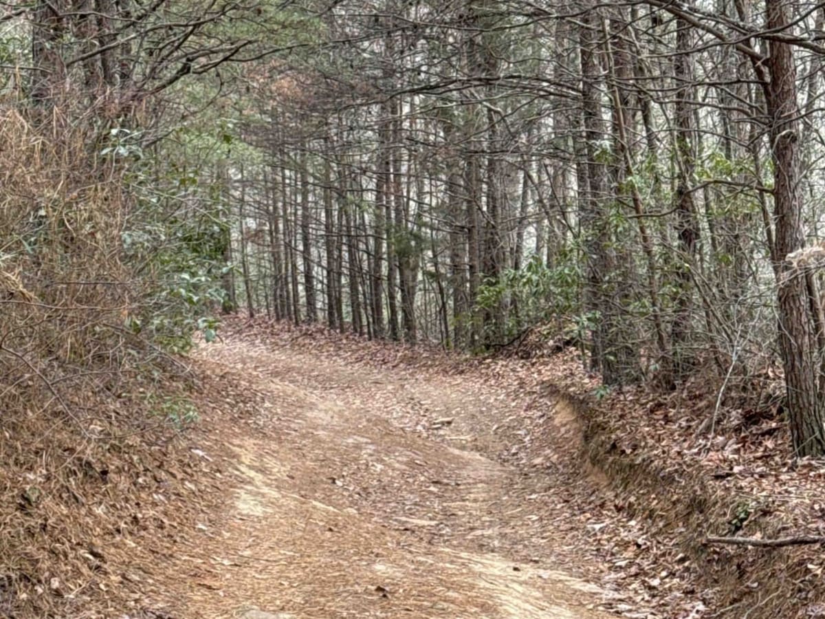 Wildcat Road photo 5
