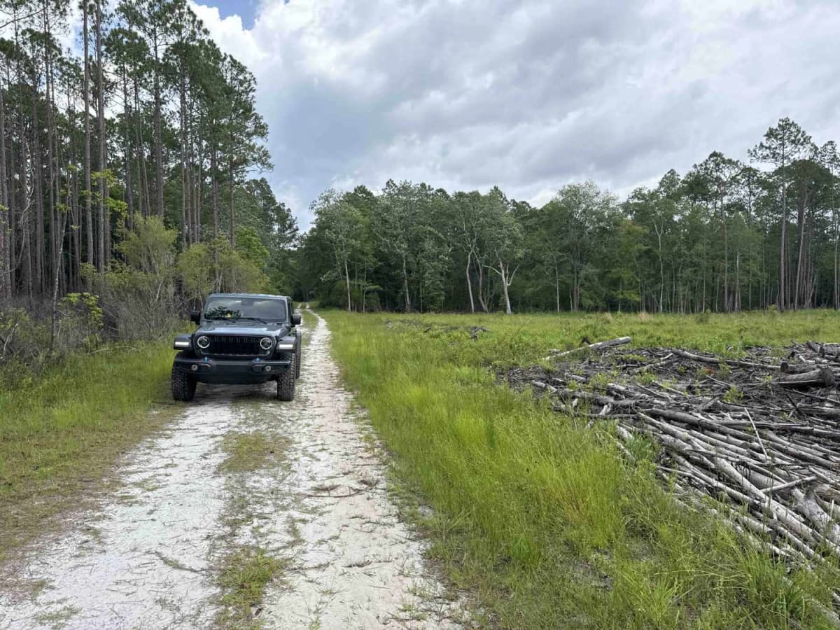 Camp Loop Road photo 4