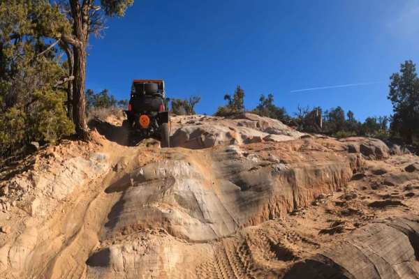 Hog Canyon 1 East - Mosdell Hill+ (BLM HC1Z)