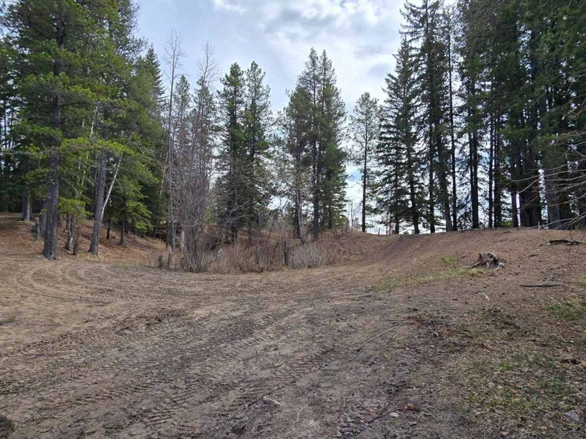 Gosling Lake Trail photo 6