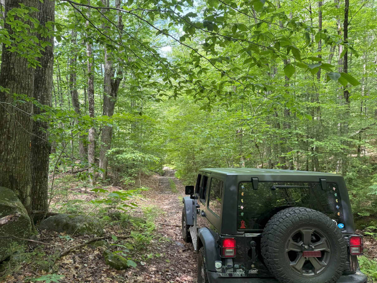 Berry Hill to Old Country Road Loop photo 6