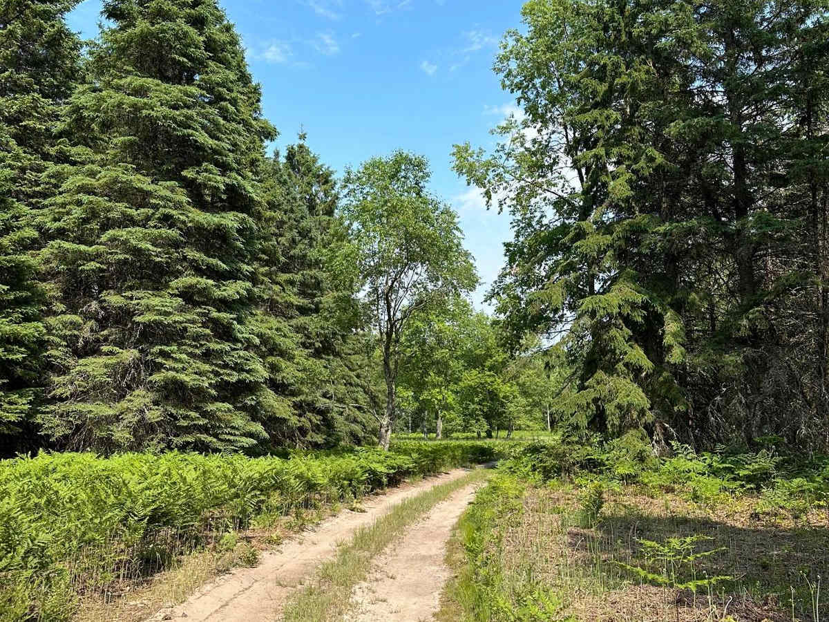 Grass Lake Spur photo 2