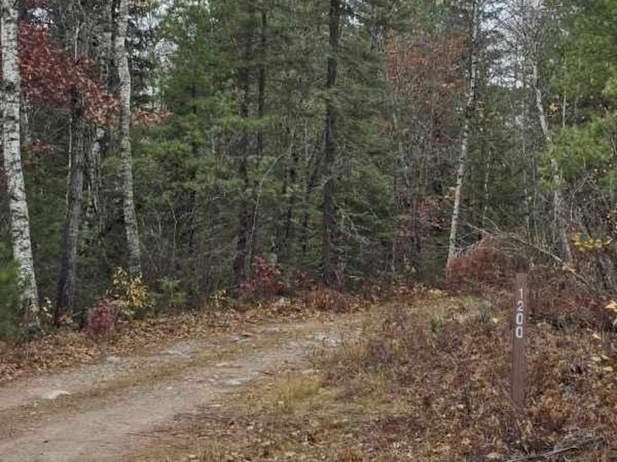 Twelve-Hundred Trail (SNF) trail photo