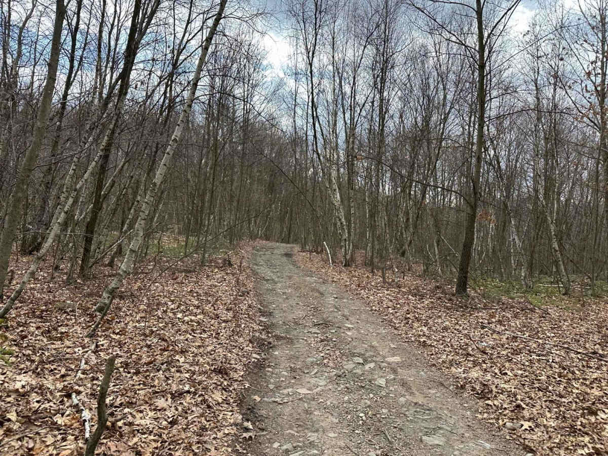 Ashland 32 trail photo