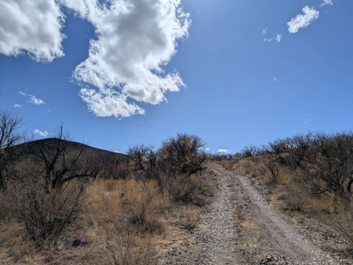 FR245 Honey Trap Loop photo 4