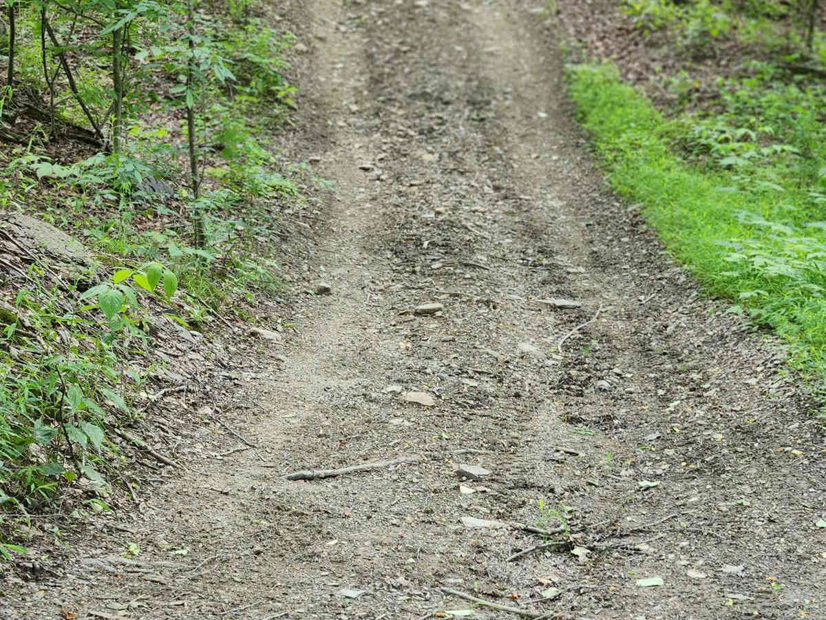 Trail 6A - Rock Run Recreation Area photo 6
