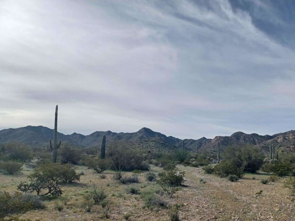 Hidden Camp photo 3