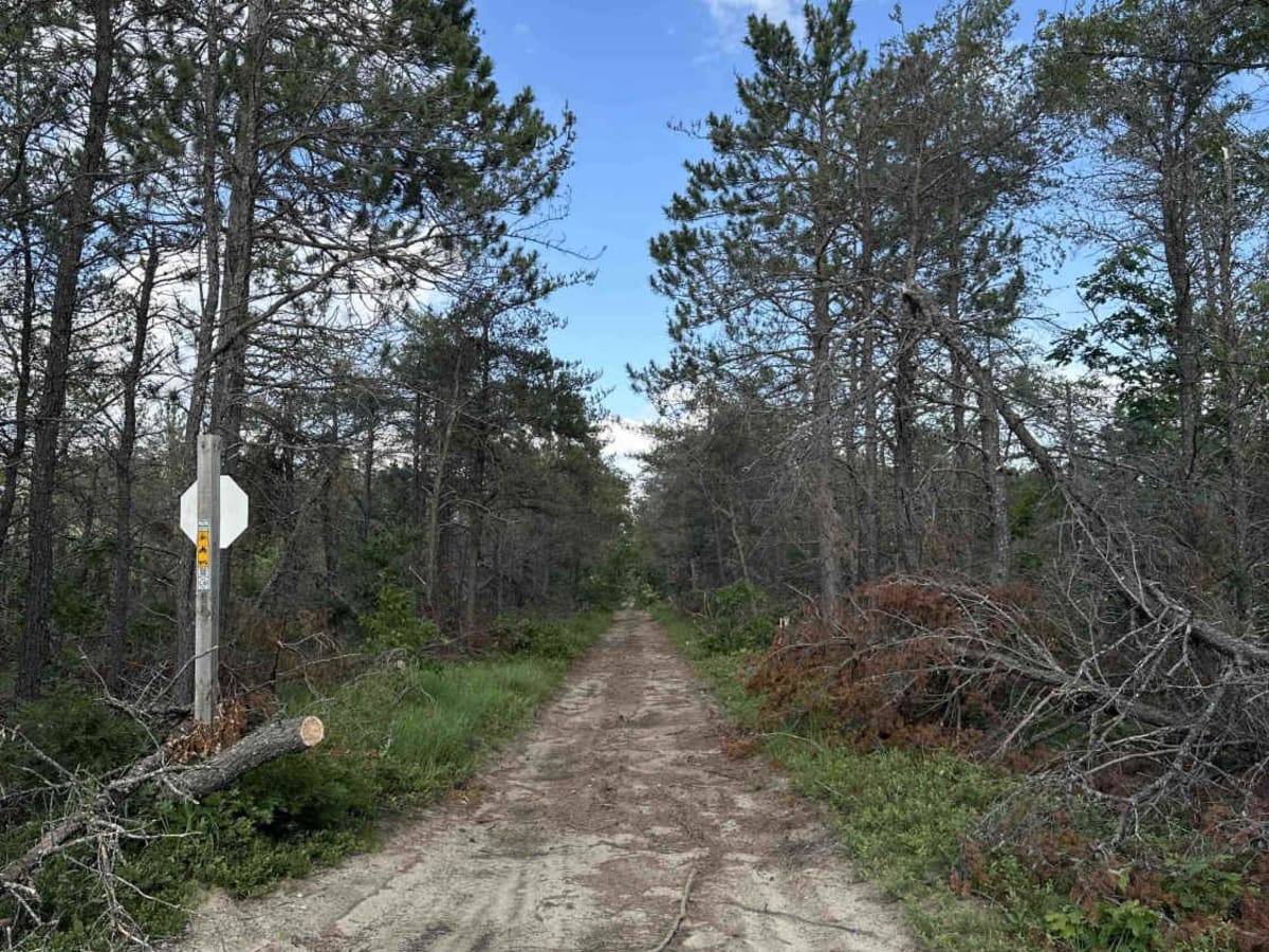 LP-9 to 628 trail photo