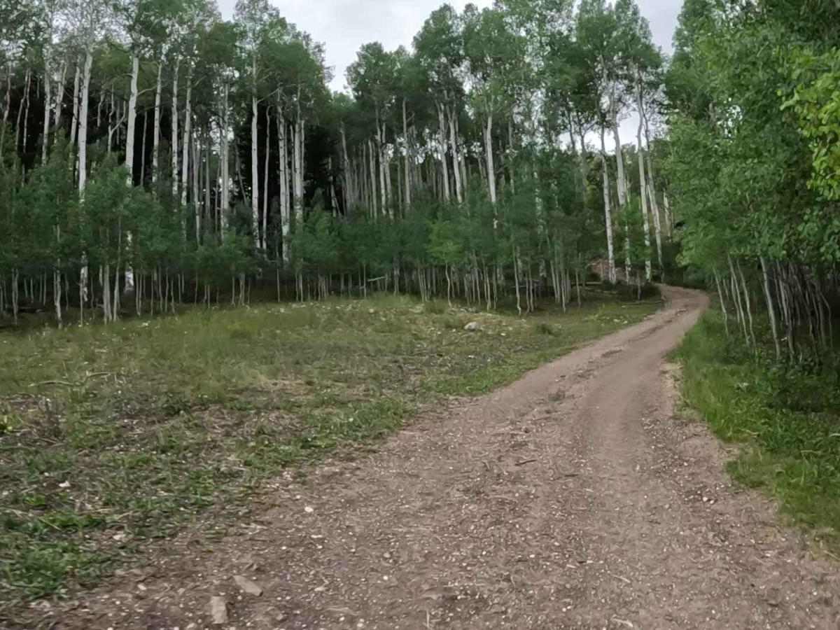 Willow Bunch trail photo