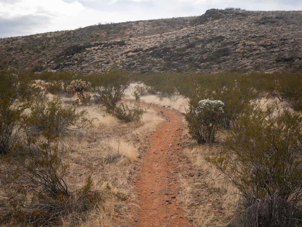 Dutchman Wash Single Track photo 3