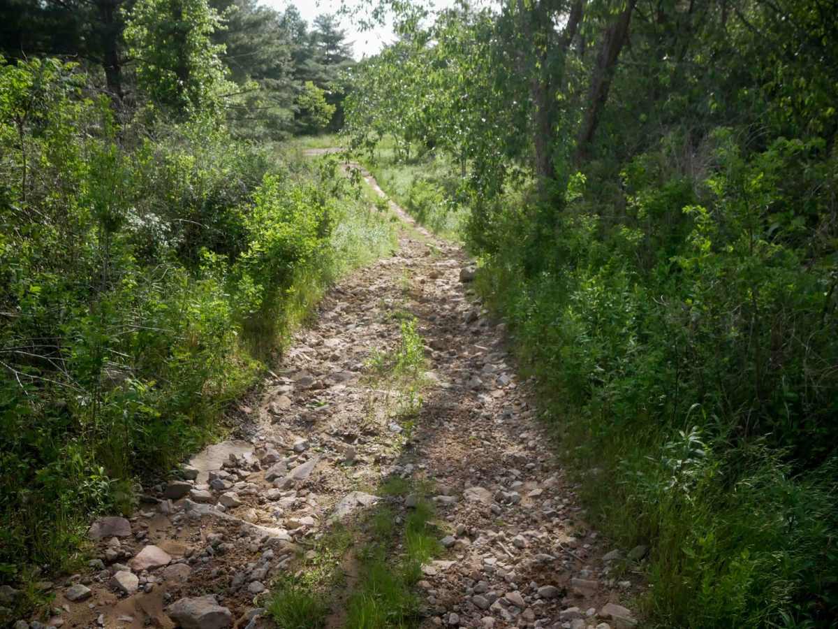 RV3 trail photo